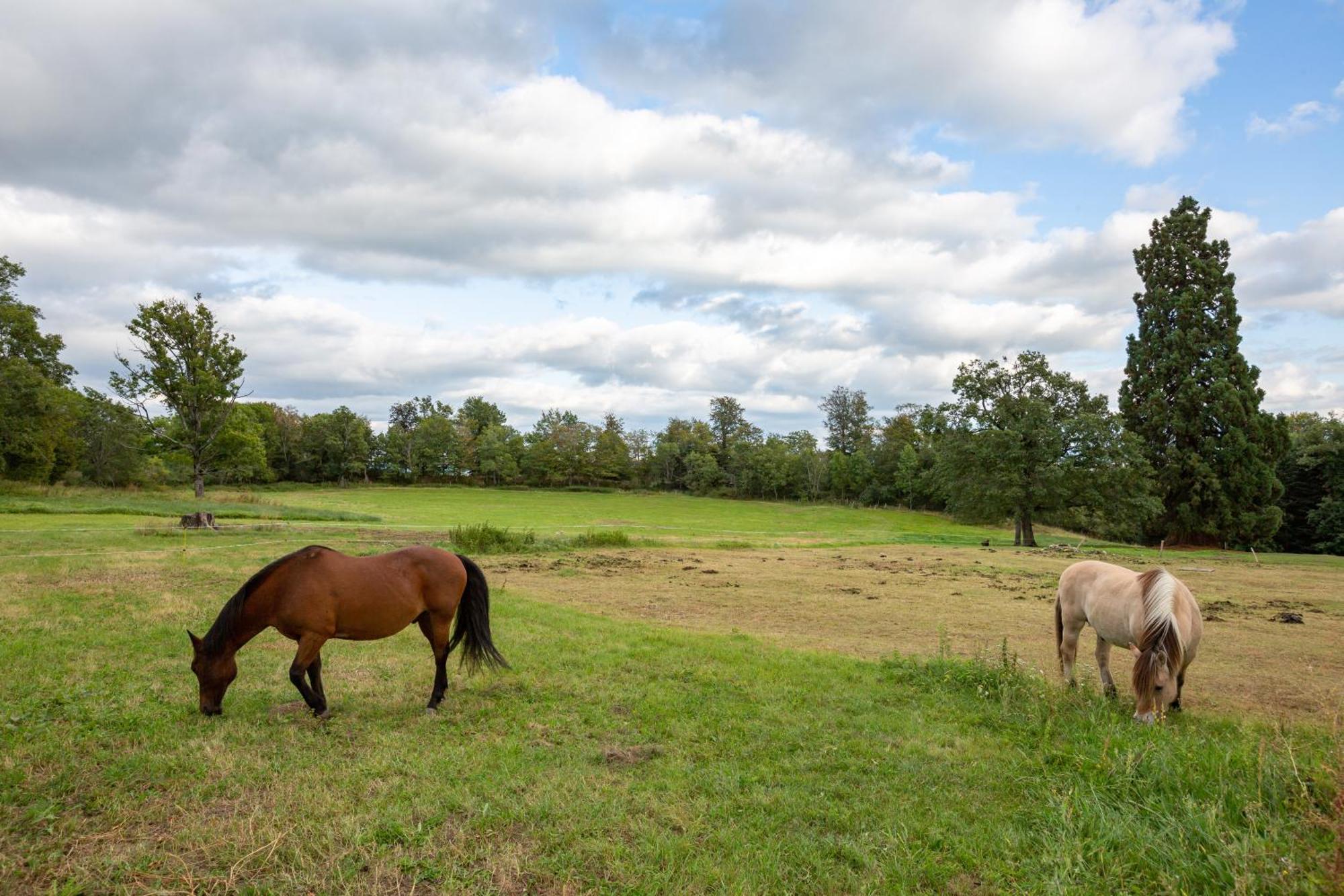 Domaine Et Chateau De Valinches Marols Exteriör bild